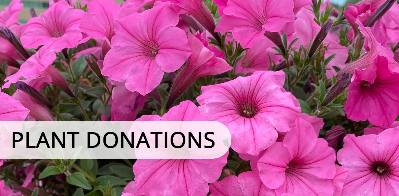 plant donations